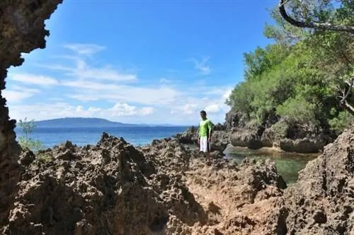 За пределами подводной пещеры