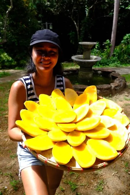 Сезон манго в Замбалесе