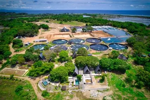 Ферма креветок Плайя в Замбалесе