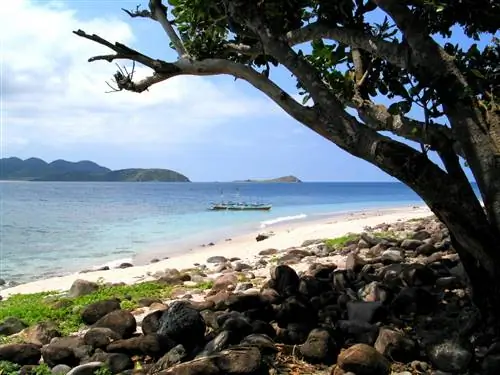 Остров Бабуян: лучшее северное приключение