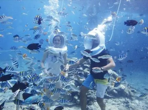 Фото Bali Seawalker через KLOOK