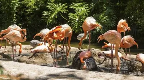 Изображение зоопарка Барселоны через Klook