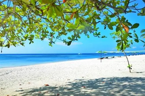 Курортный отель South Palms с видом на пляж Курортный отель South Palms с видом на пляж