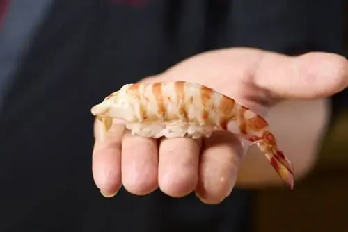 Суши Рин Кумамото Курума Эби Креветка