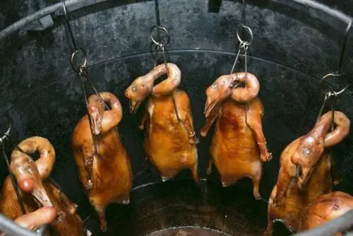 Камс Жареный гусь в Гонконге