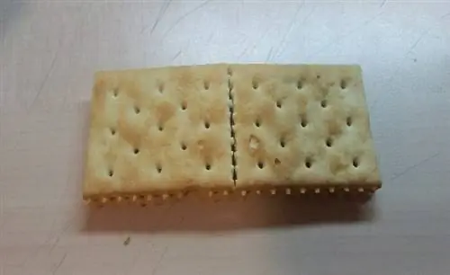 Мальтозные крекеры от Hyhon4 через Wikimedia cc