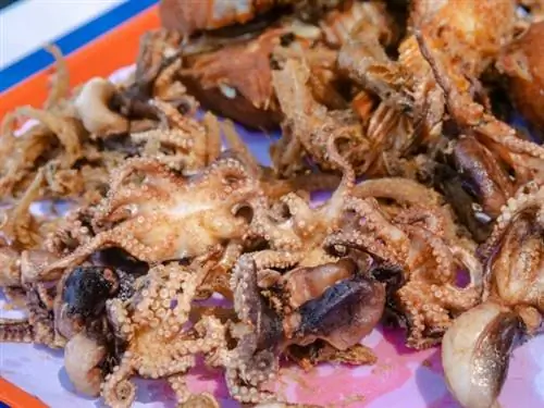 Жареные щупальца кальмара