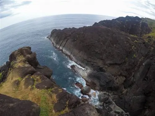 точка бинуронга