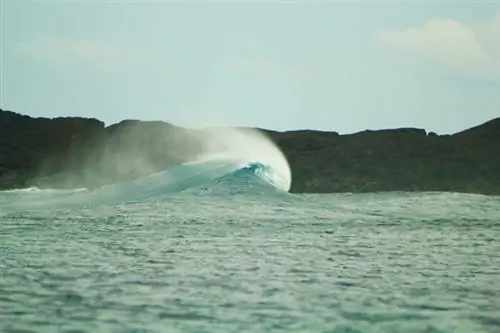 Волна на пляжном курорте Пураран