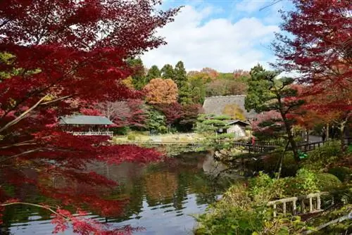 Зоопарк и ботанический сад Хигасияма Баристона через Wikipedia CC