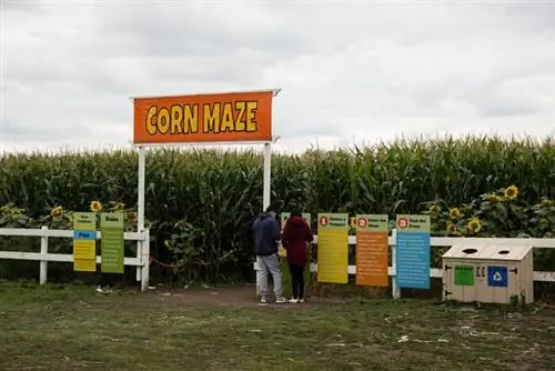 Эдмонтонский кукурузный лабиринт, автор Мак Мале, Wikimedia cc