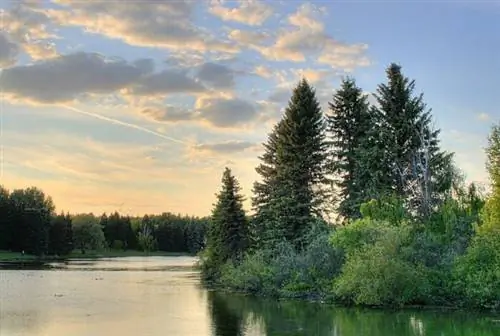 Кольцевое озеро в парке Хорелак, Эдмонтон, Альберта, Канада. автор WinterE229 через Wikimedia cc