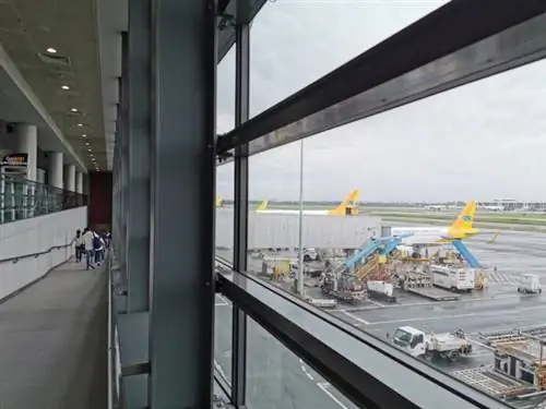 Как студенты могут воспользоваться 20-процентной скидкой на внутренние авиабилеты