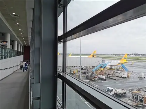 Вот как студенты могут воспользоваться 20-процентной скидкой на внутренние авиабилеты