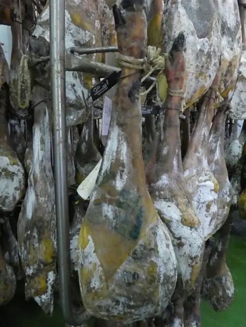 черная бирка с характерным V-образным вырезом