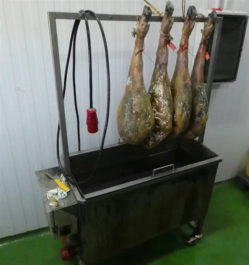 Ветчина с красной биркой висит после мытья