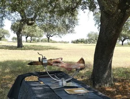 Резьба по хамону в дехесе