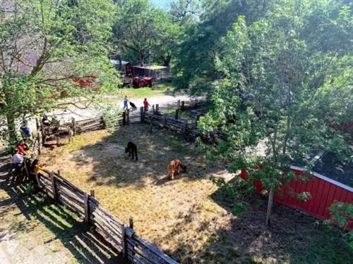 Достаточно далеко ферма