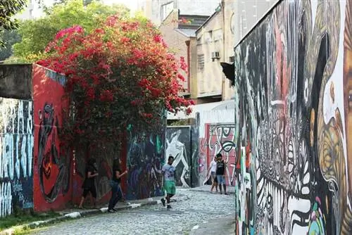 «Beco do Batman», Диего Браво, Wikimedia cc.