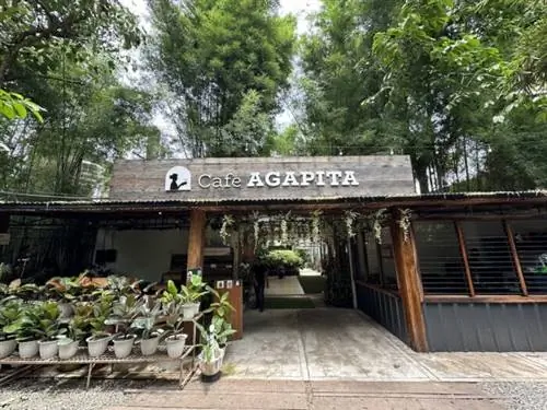 Кафе Агапита Вход