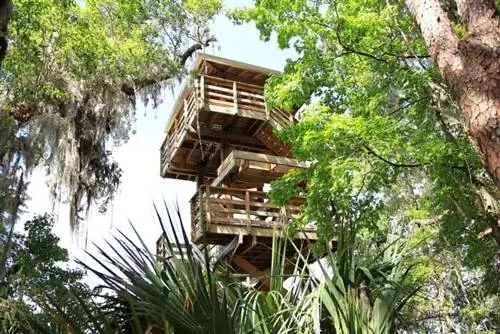 Смотровая башня государственного парка Paynes Prairie Preserve, автор Muon, Wikipedia CC