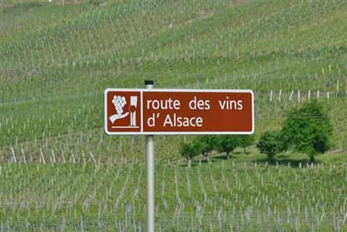 Винная дорога Эльзаса от Florival fr через Wikimedia cc
