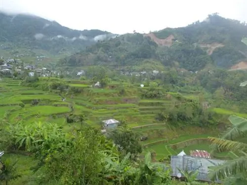 Рисовые террасы Майояо, автор Жак Болье, Flickr cc