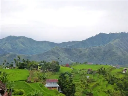 Рисовые террасы Майояо Ифугао, автор Жак Болье, Flickr cc