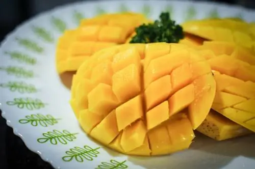 Тарелка свежих манго