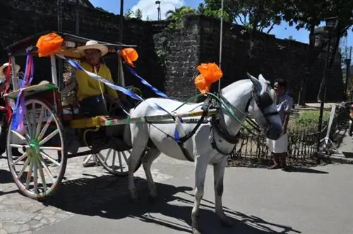 Тартанилья