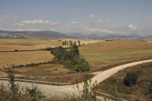 Грунтовая дорога, по которой проходят пешеходные паломники.