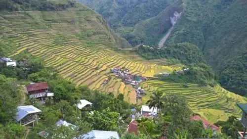 Рисовые террасы Батад, автор @yumievriwan, Flickr cc