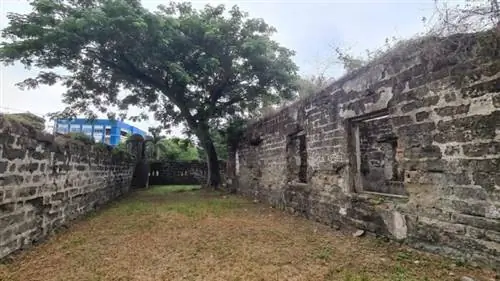 Куартель Санто-Доминго в Лагуне, Джозеф Баутиста