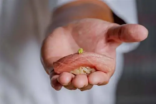 Уогаси Нихоничи Гонконг