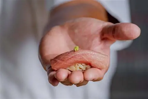 Cafe Deco Group представляет новые кулинарные изыски в AIRSIDE в Кай Так, Восточный Коулун