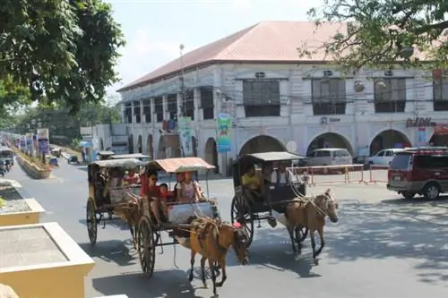 Калеса в Вигане