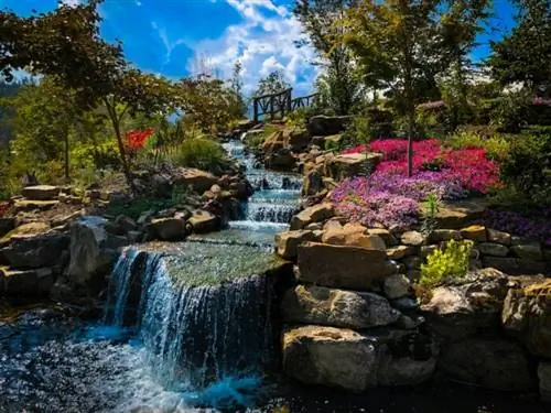 Анакиста, Гатлинбург, Теннесси, США, автор: Дин через Unsplash