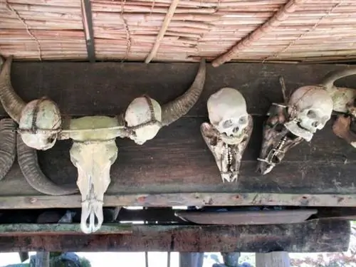 Богатый дом Ифугао