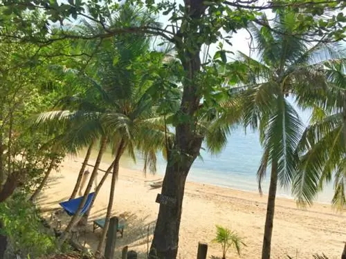Фотография пляжа Тандо через Natures Eye Resort