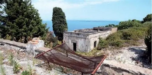 Картина Картина