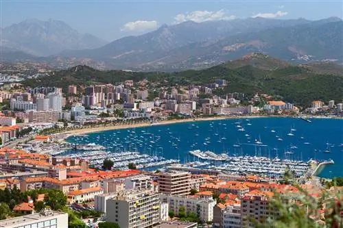 Картина Картина