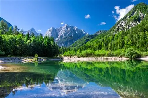 Картина Картина