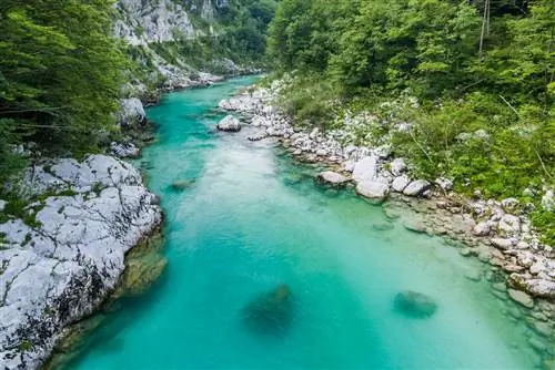 Картина Картина