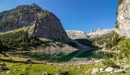 Картина Картина