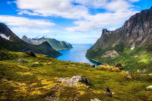 Остров Сенья, арктический рай 100% природа