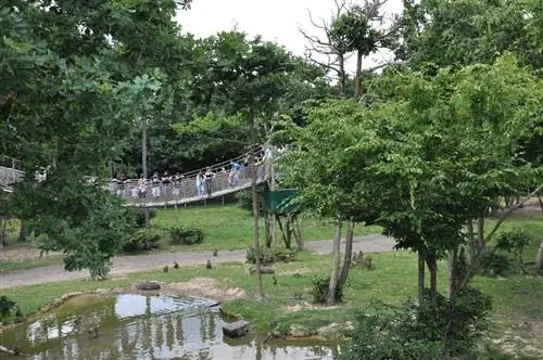 Картина Картина