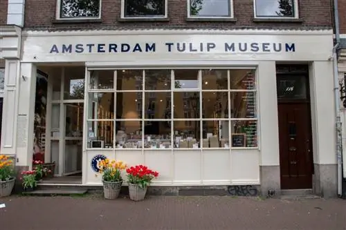 Голландская фотография / Shutterstock. Фасад Музея тюльпанов в Амстердаме.