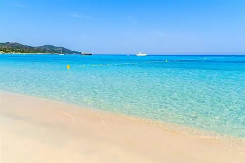 Корсика: пляж Салечия, скрытый рай в сердце пустыни