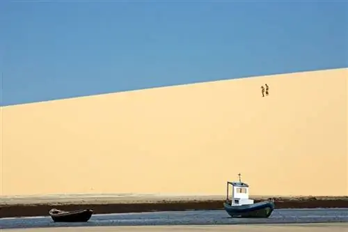 Картина Картина