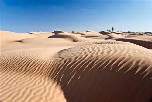 Картина Картина
